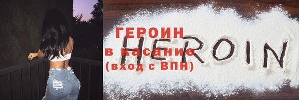 прущие грибы Новодвинск