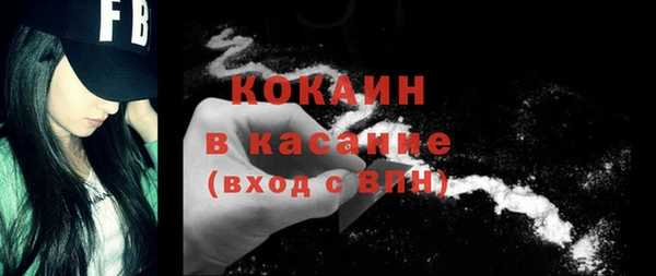 прущие грибы Новодвинск