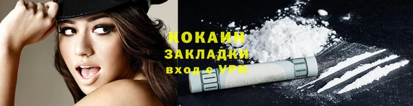 прущие грибы Новодвинск