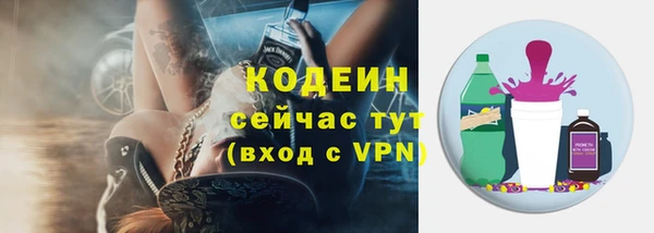 прущие грибы Новодвинск