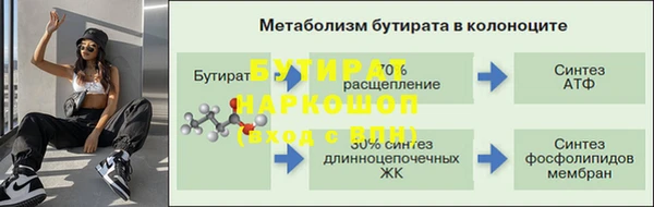 прущие грибы Новодвинск