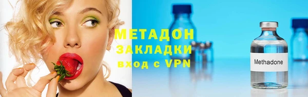 прущие грибы Новодвинск