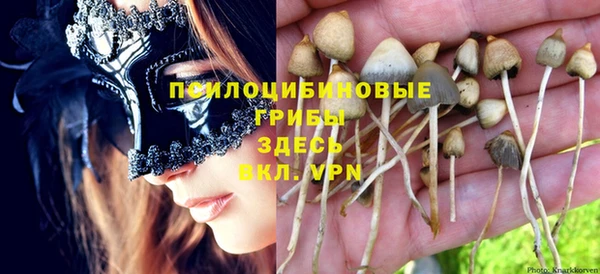 mix Нея