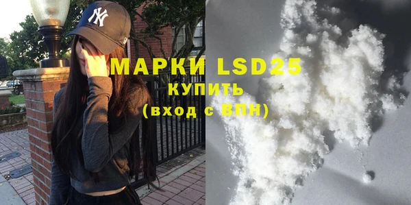 прущие грибы Новодвинск