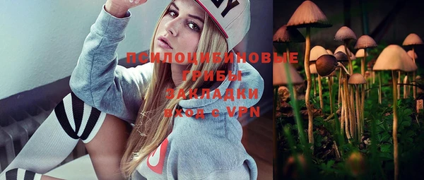 стафф Няндома