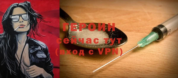 прущие грибы Новодвинск