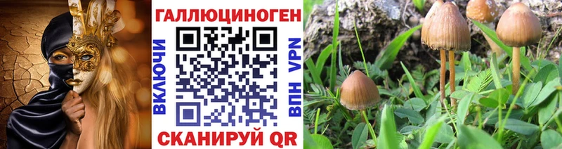 площадка состав  Малая Вишера  Галлюциногенные грибы мицелий  где купить  